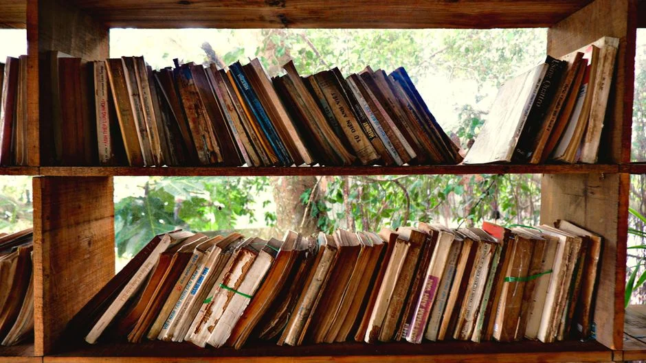 Self-published books by Ebony Writers On The Go